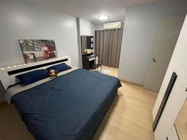 2 Schlafzimmer Wohnung zu vermieten im Lumpini Center Sukhumvit 77, Suan Luang