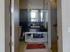 1 Bedroom Apartment for rent at Palm Springs Nimman (Parlor), Suthep