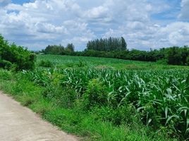  Land for sale in Sa Kaeo, Wang Mai, Wang Sombun, Sa Kaeo