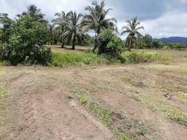  Grundstück zu verkaufen in Takua Pa, Phangnga, Bang Muang