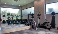 Photo 3 of the Communal Gym at Patong Bay Residence