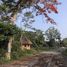 在碧差汶出售的 土地, Thung Samo, Khao Kho, 碧差汶