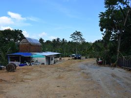  Grundstück zu verkaufen in Takua Thung, Phangnga, Tha Yu, Takua Thung, Phangnga