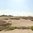  Land for sale in the United Arab Emirates, Palm Jebel Ali, Dubai, United Arab Emirates