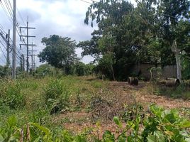  Land for sale in Nong Phrong, Si Maha Phot, Nong Phrong