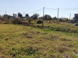  Land for sale in San Pu Loei, Doi Saket, San Pu Loei