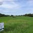  Land for sale in Villasis, Pangasinan, Villasis