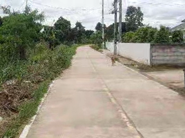  Land for sale in Hang Dong, Chiang Mai, San Phak Wan, Hang Dong