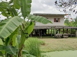 2 Schlafzimmer Haus zu vermieten in Khlong Song, Khlong Luang, Khlong Song