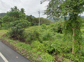  Land for sale in Phanom, Surat Thani, Khlong Sok, Phanom