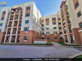 Studio Apartment for sale at Al Ghadeer, Al Ghadeer, Abu Dhabi