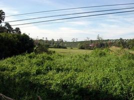  Grundstück zu verkaufen in Phra Samut Chedi, Samut Prakan, Laem Fa Pha