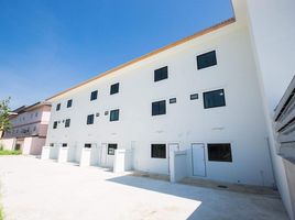 100 m² Office for rent at De Habitat Maejo, San Phisuea