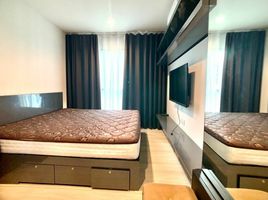 2 Schlafzimmer Appartement zu vermieten im Life Sukhumvit 48, Phra Khanong, Khlong Toei