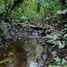  Grundstück zu verkaufen in Tambopata, Madre De Dios, Laberinto, Tambopata, Madre De Dios