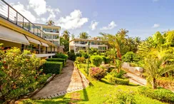 Photo 2 of the Communal Garden Area at Karon Butterfly