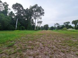  Land for sale in Chak Phong, Klaeng, Chak Phong