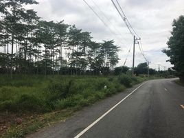  Grundstück zu verkaufen in Pa Sang, Lamphun, Nakhon Chedi, Pa Sang