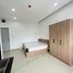 Studio Townhouse for rent in Son Tra Da Nang, Phuoc My, Son Tra, Da Nang