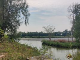  Grundstück zu verkaufen in Phra Samut Chedi, Samut Prakan, Ban Khlong Suan