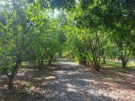  Grundstück zu verkaufen in Mueang Nakhon Nayok, Nakhon Nayok, Tha Sai