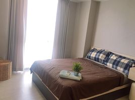 1 Schlafzimmer Appartement zu verkaufen im Palm Springs Nimman Areca, Suthep, Mueang Chiang Mai