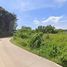  Land for sale in Choeng Thale, Thalang, Choeng Thale