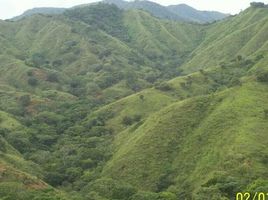  Grundstück zu verkaufen in Tonosi, Los Santos, Cambutal, Tonosi, Los Santos, Panama