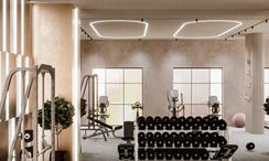 图片 3 of the Communal Gym at Q Gardens Lofts