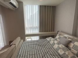 1 Bedroom Condo for rent at Noble Revolve Ratchada 2, Huai Khwang, Huai Khwang, Bangkok