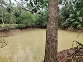  Grundstück zu verkaufen in Sawi, Chumphon, Wisai Tai