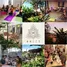 Studio Villa zu vermieten in AsiaVillas, San Jose, San Jose, Costa Rica