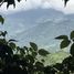  Land for sale in Turrubares San Jose, Turrubares, San Jose