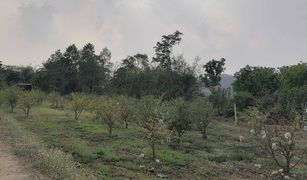 N/A Land for sale in Soi, Phrae 