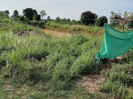  Grundstück zu verkaufen in Phu Khiao, Chaiyaphum, That Thong