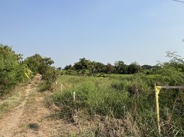  Grundstück zu verkaufen in Lam Luk Ka, Pathum Thani, Bueng Kho Hai