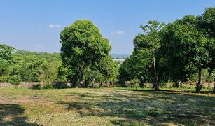 N/A Land for sale in Huai Sak, Chiang Rai 