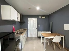 2 Bedroom Condo for rent at The Link Sukhumvit 50, Phra Khanong, Khlong Toei