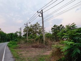  Grundstück zu verkaufen in Phen, Udon Thani, Na Bua