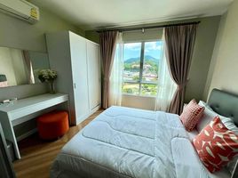 1 Bedroom Apartment for rent at D Condo Kathu-Patong, Kathu, Kathu, Phuket