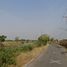  Land for sale in Bo Ta Lo, Phra Nakhon Si Ayutthaya, Bo Ta Lo, Wang Noi