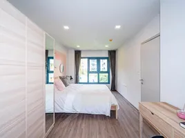 2 Schlafzimmer Appartement zu vermieten im The BASE Sukhumvit 50, Phra Khanong