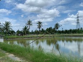  Grundstück zu verkaufen in Ban Phaeo, Samut Sakhon, Lak Sam, Ban Phaeo