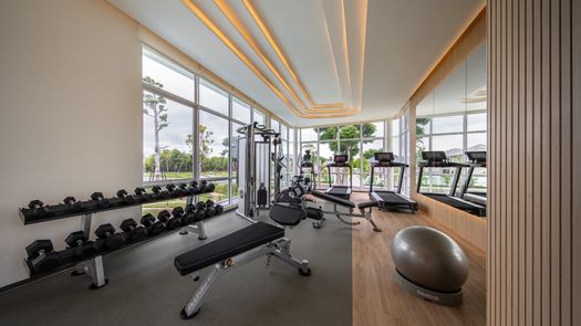 Фото 4 of the Communal Gym at Patta Element