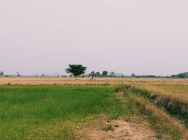  Land for sale in Suphan Buri, Hua Khao, Doem Bang Nang Buat, Suphan Buri