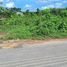  Land for sale in Thalang, Phuket, Pa Khlok, Thalang