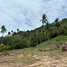  Land for sale in Maenam, Koh Samui, Maenam