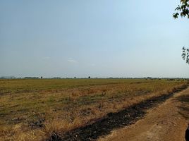  Land for sale in Ban Mi, Lop Buri, Phai Yai, Ban Mi