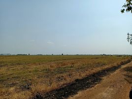 ขายที่ดิน ใน บ้านหมี่ ลพบุรี, ไผ่ใหญ่