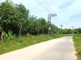  Land for sale in Mai Khao, Phuket, Mai Khao, Thalang